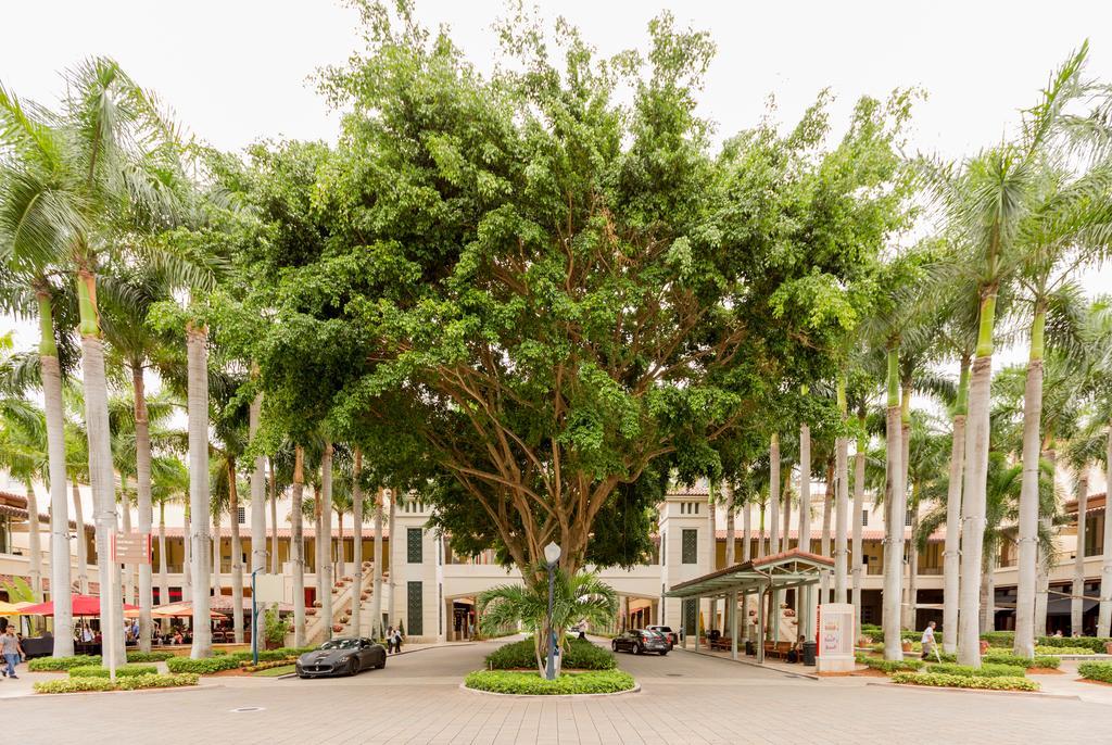 Pelicanstay In Coral Gables Miami Luaran gambar